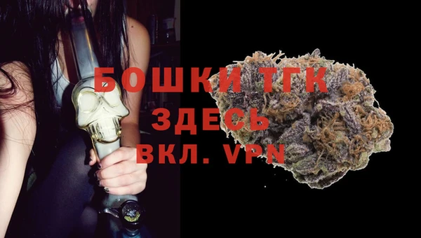 ALPHA PVP Няндома