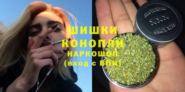 ALPHA PVP Няндома