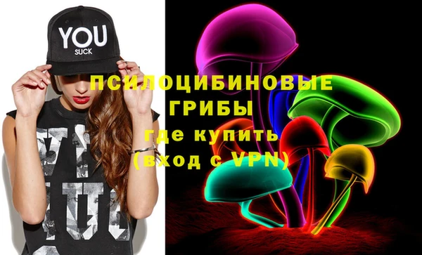 гидропоника Нягань