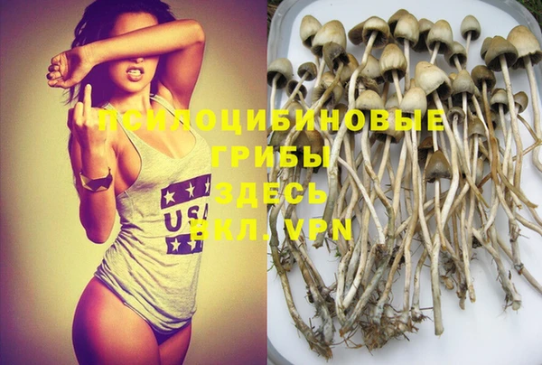 гидропоника Нягань