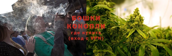 таблы Новозыбков