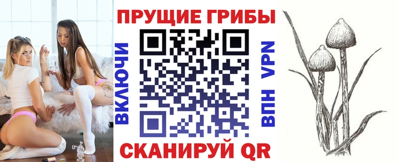 Псилоцибиновые грибы мицелий Костомукша
