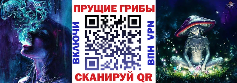 Галлюциногенные грибы Psilocybe Костомукша