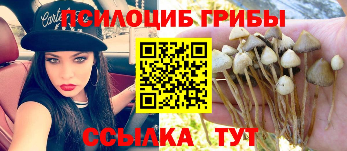 Cocaine Костомукша