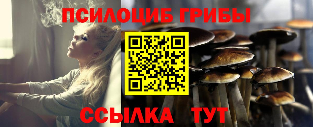хочу   Псилоцибиновые грибы GOLDEN TEACHER  Галлюциногенные грибы прущие грибы  Вход с VPN  Костомукша 
