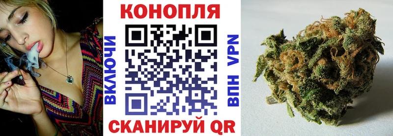 где найти   Костомукша  Бошки марихуана семена 